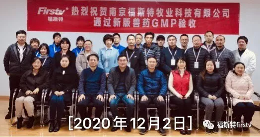 GMP认证