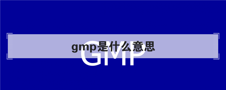 GMP认证